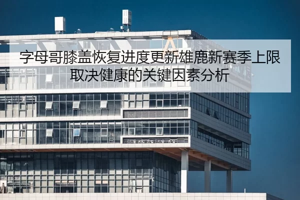 字母哥膝盖恢复进度更新雄鹿新赛季上限取决健康的关键因素分析