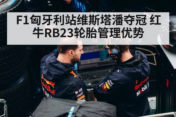 Red Bull RB23 tire management