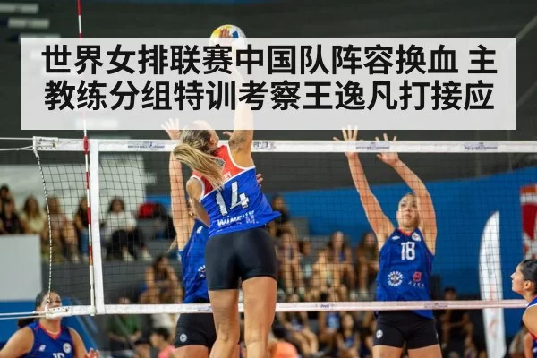 female volleyball player action